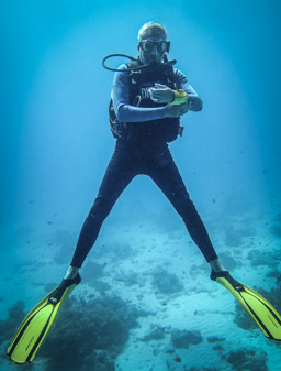 HaWe - 2x abgetaucht  fotografiert von Bian L.