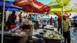 local fish market - ohne Touristen